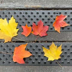 ”It was a great purchase. I appreciate the product!"