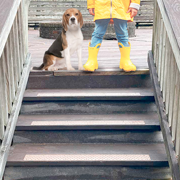Dogs and people are safer with HandiTreads installed on slippery wood stairs