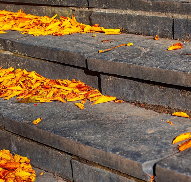 handtreads-old-brick-and-stone-stairs-fall-leaves-and-debris